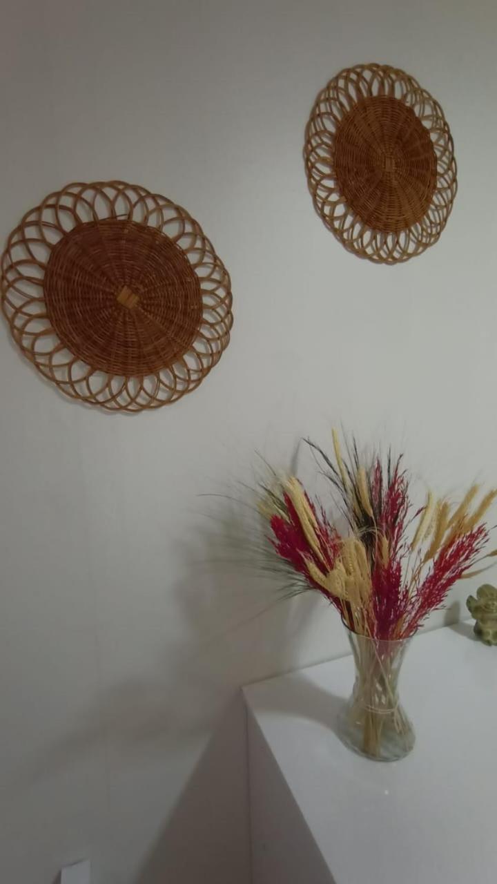 Insta Hostel Floripa Florianópolis 外观 照片